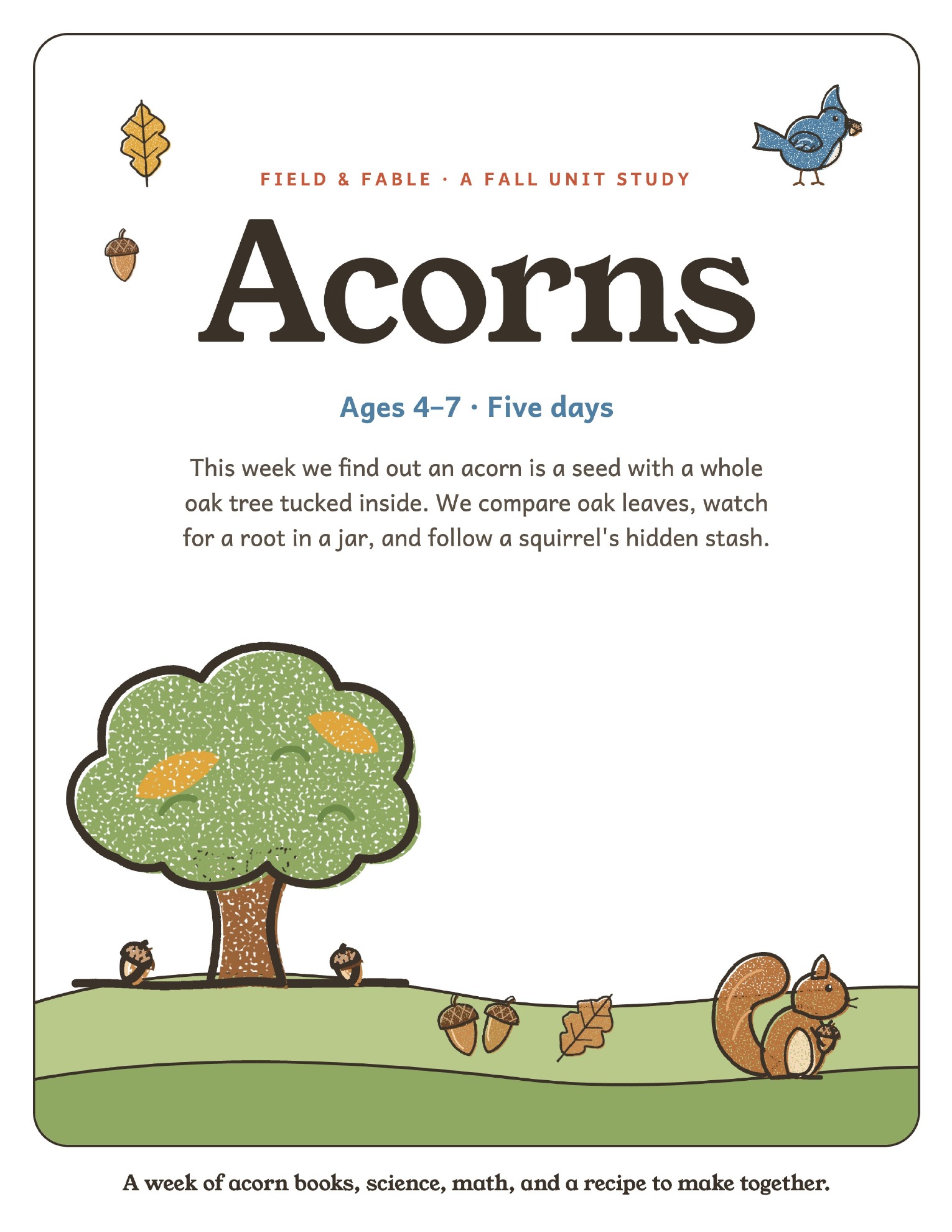 The cover of the Acorns unit study.