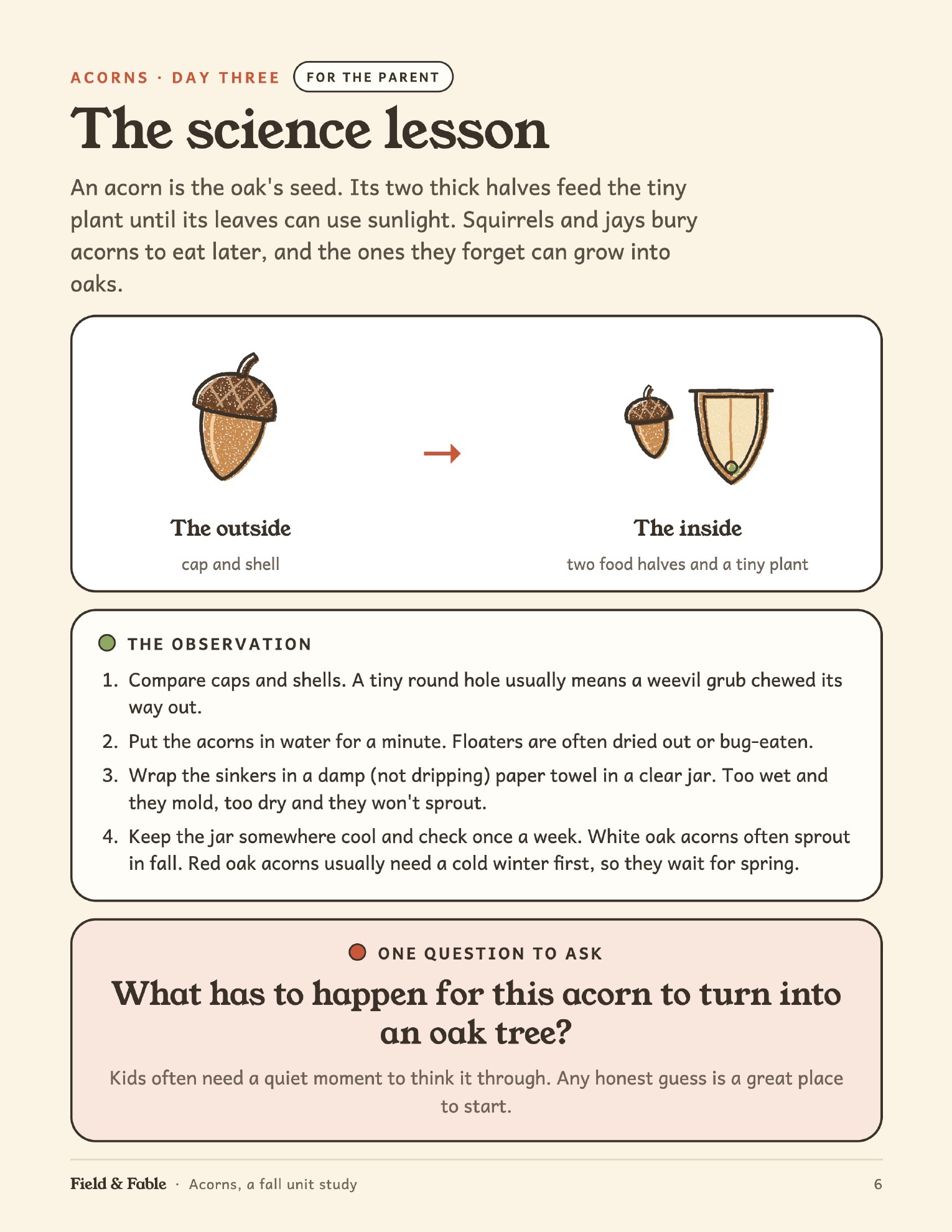 The science lesson page from the Acorns unit.