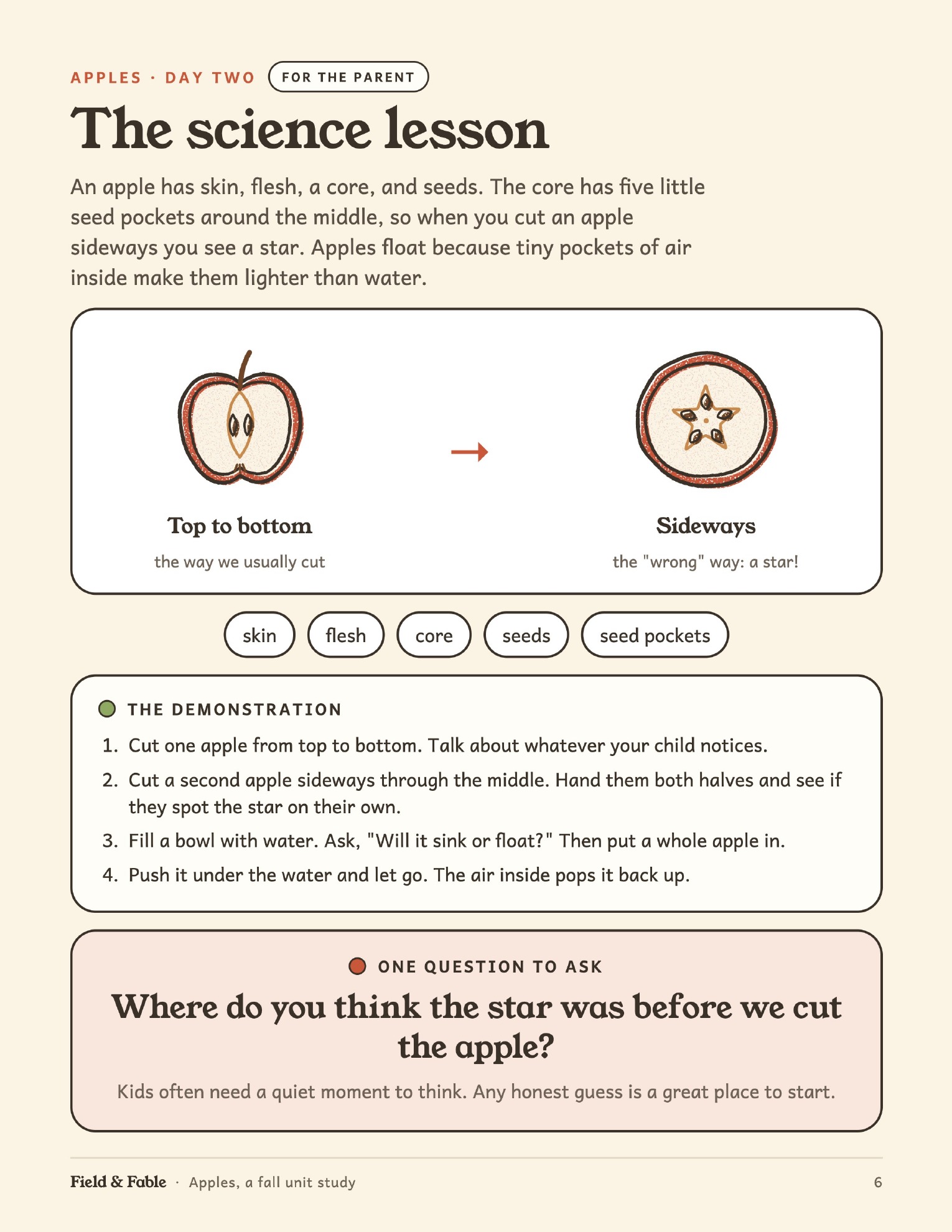 A sample science lesson from the Apples unit.