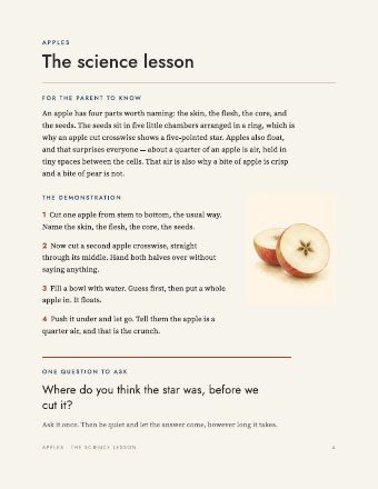 Page 4: The science lesson