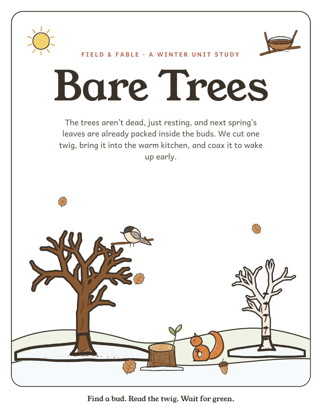 The cover of the Bare Trees unit.