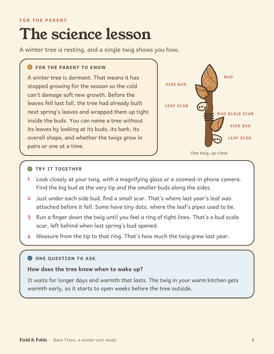 The science lesson page from the Bare Trees unit.