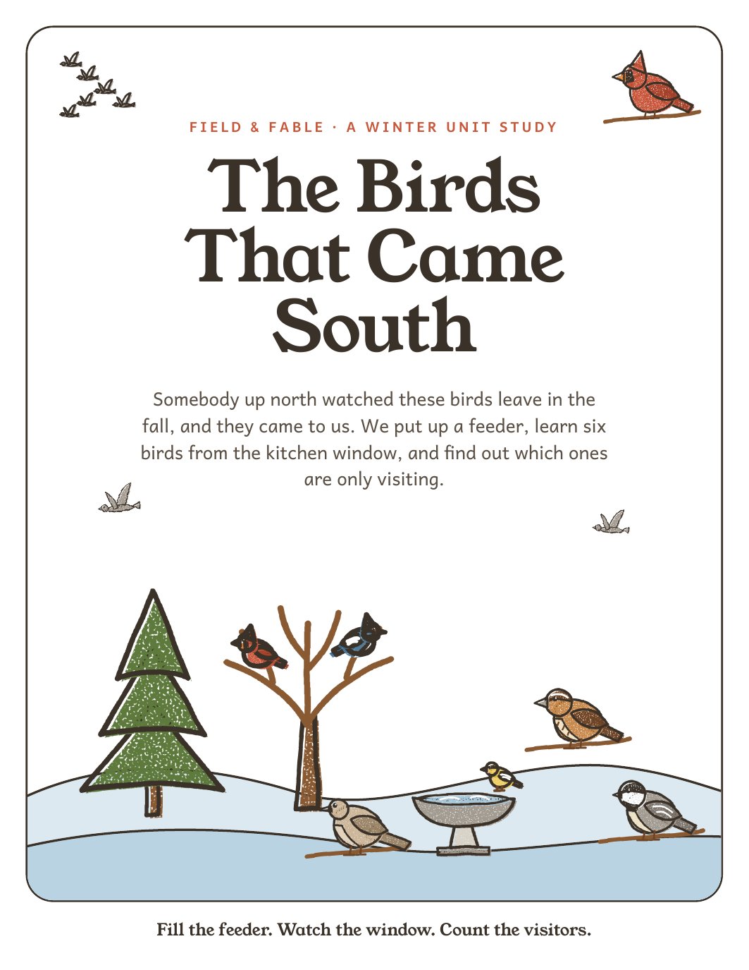 The cover of the The Birds That Came South unit.