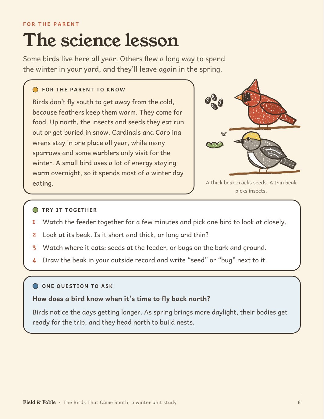 The science lesson page from the The Birds That Came South unit.