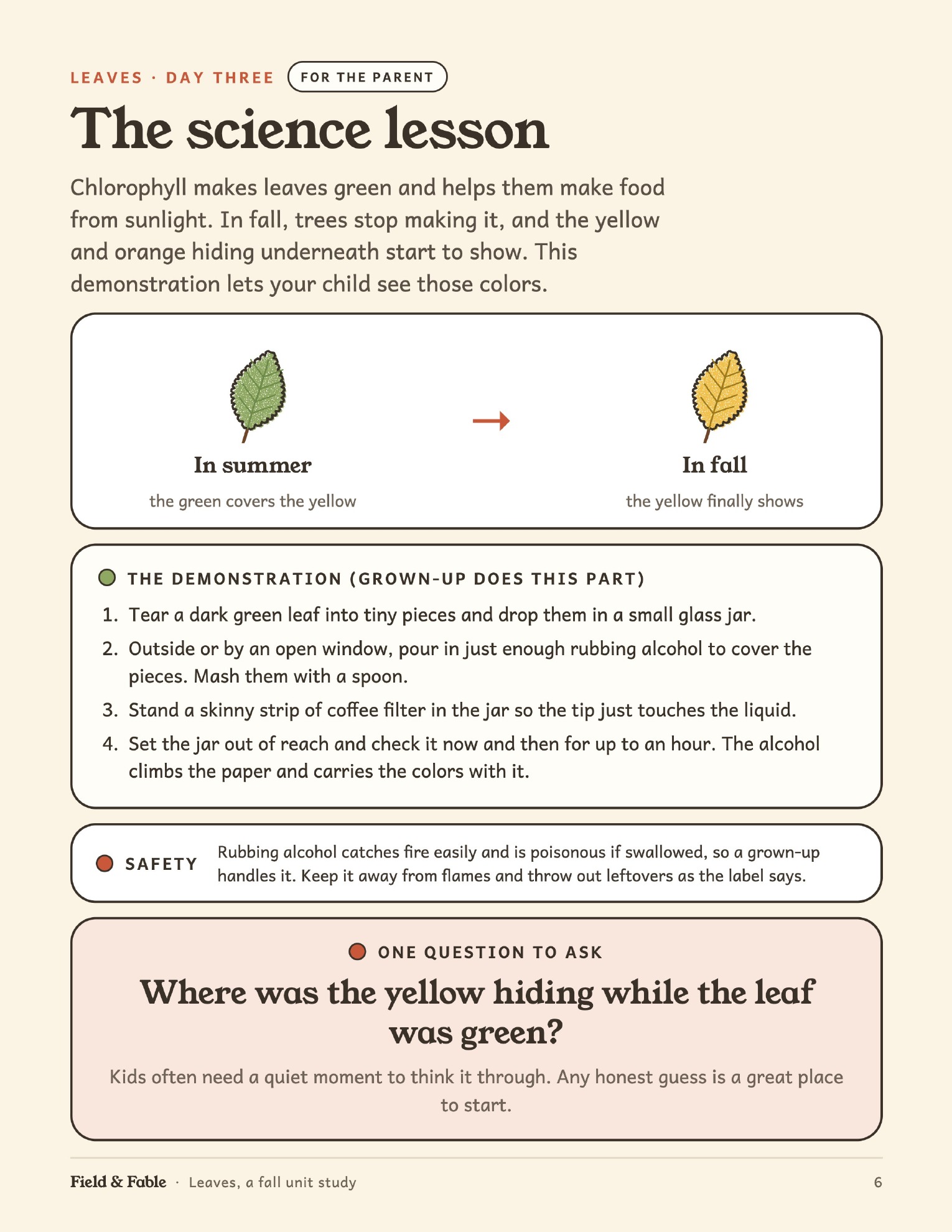 The science lesson page from the Leaves unit.