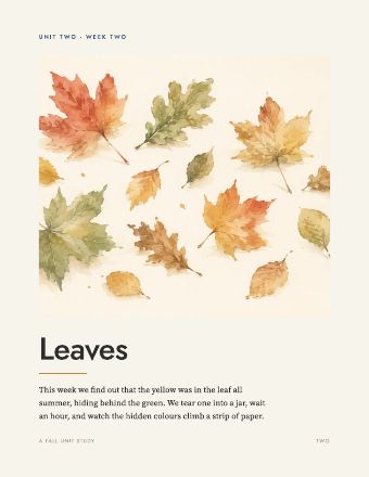 Page 1: The cover