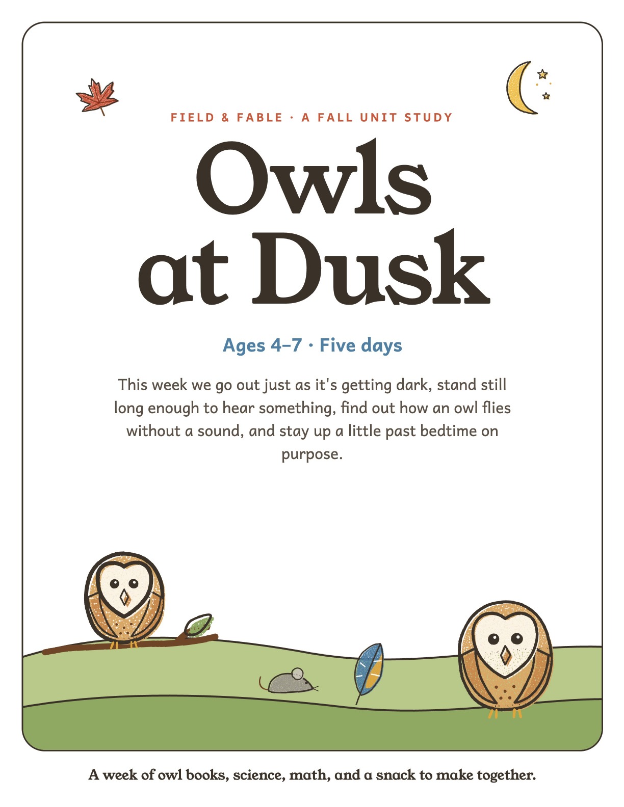The cover of the Owls at Dusk unit.