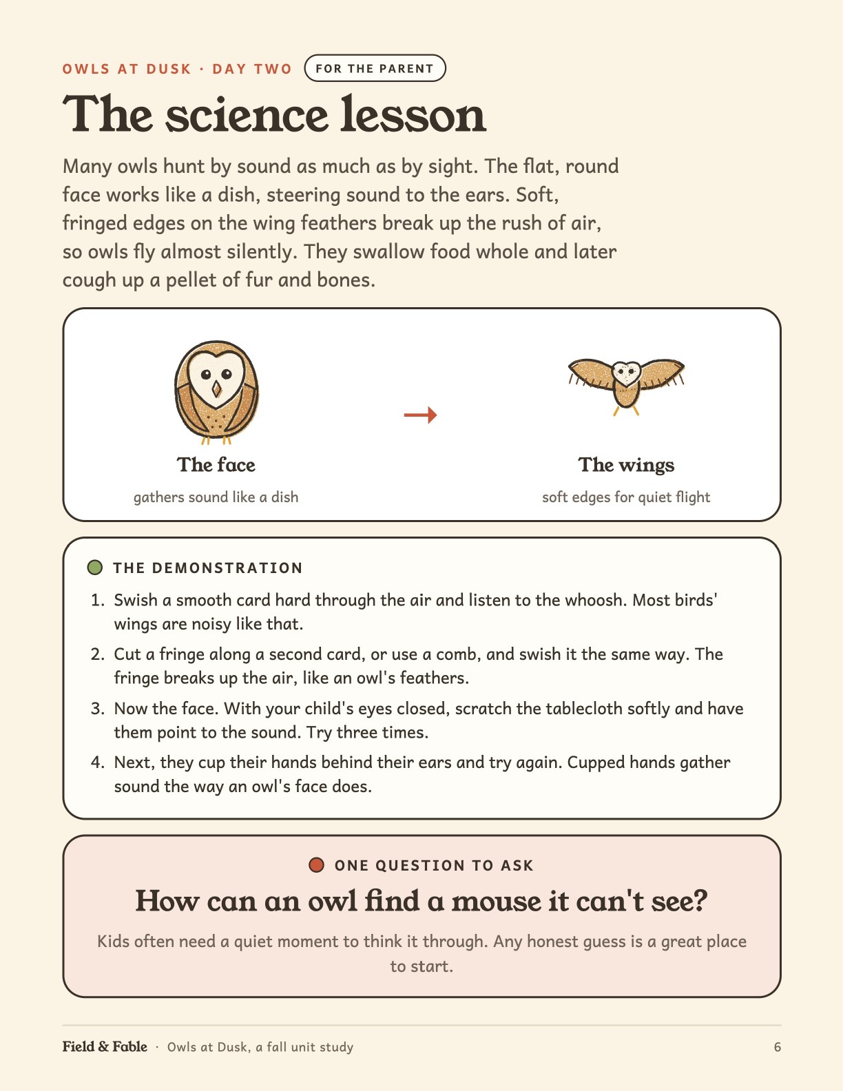 The science lesson page from the Owls at Dusk unit.