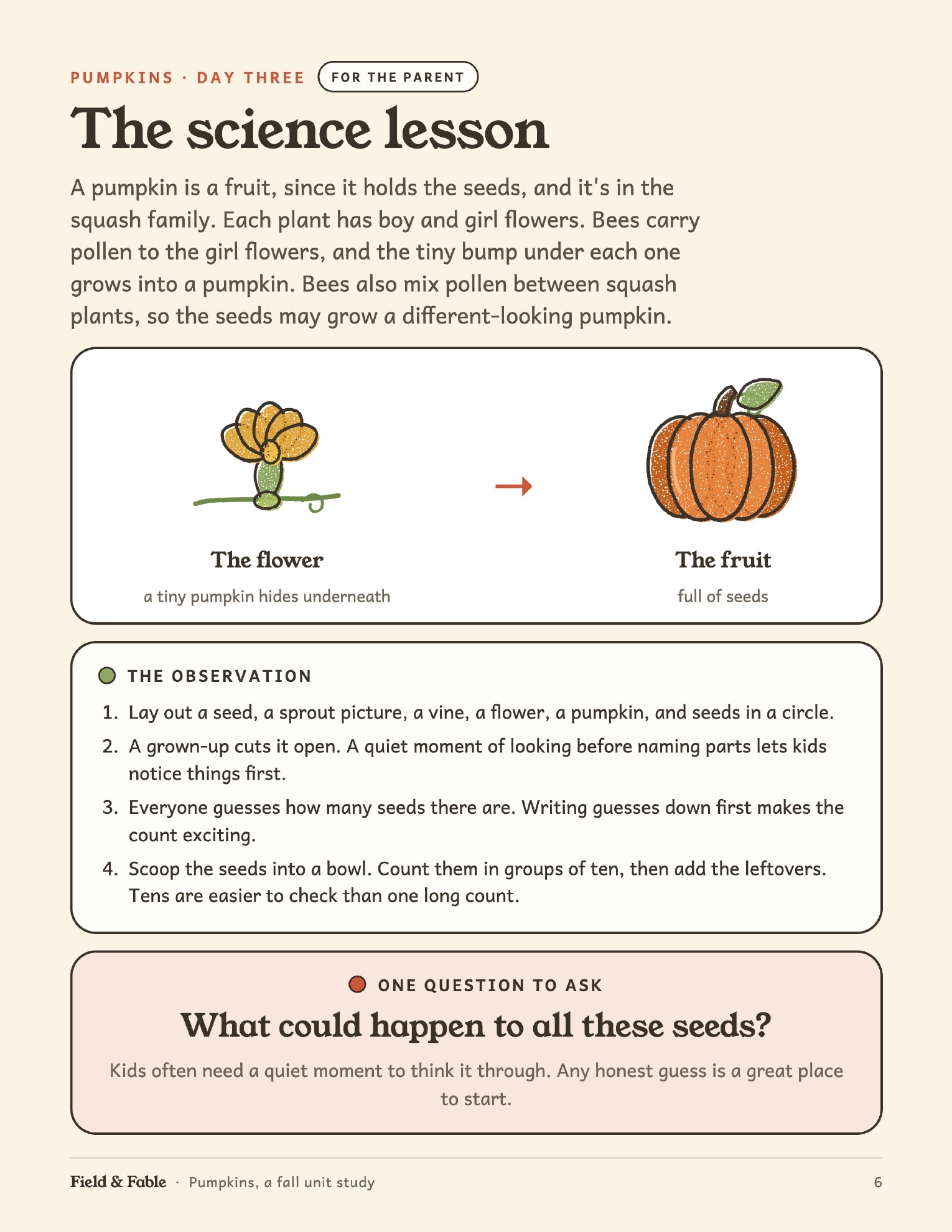 The science lesson page from the Pumpkins unit.