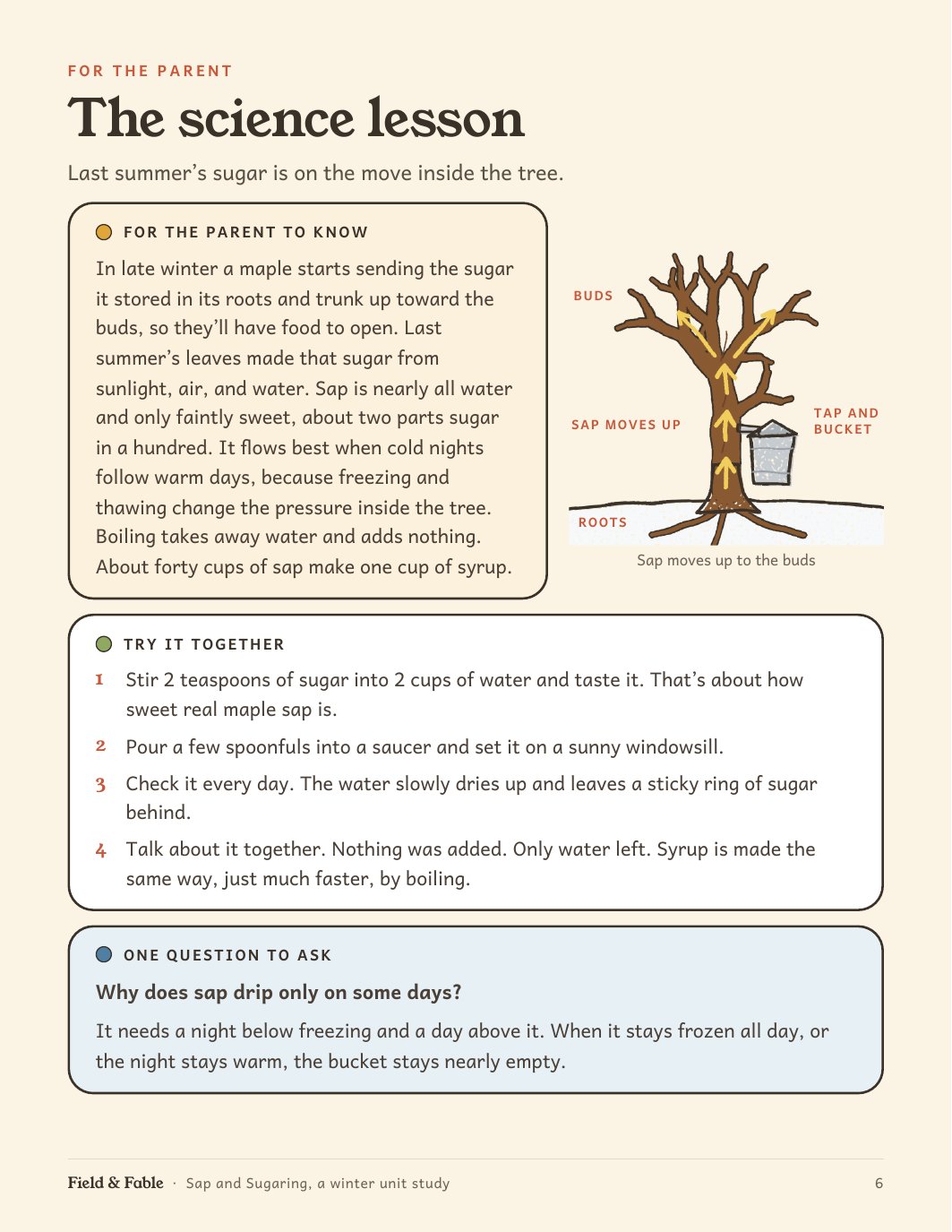 The science lesson page from the Sap and Sugaring unit.