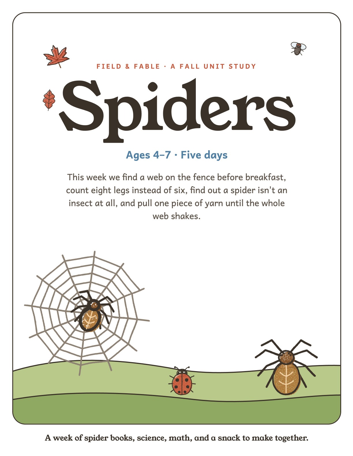 The cover of the Spiders unit.