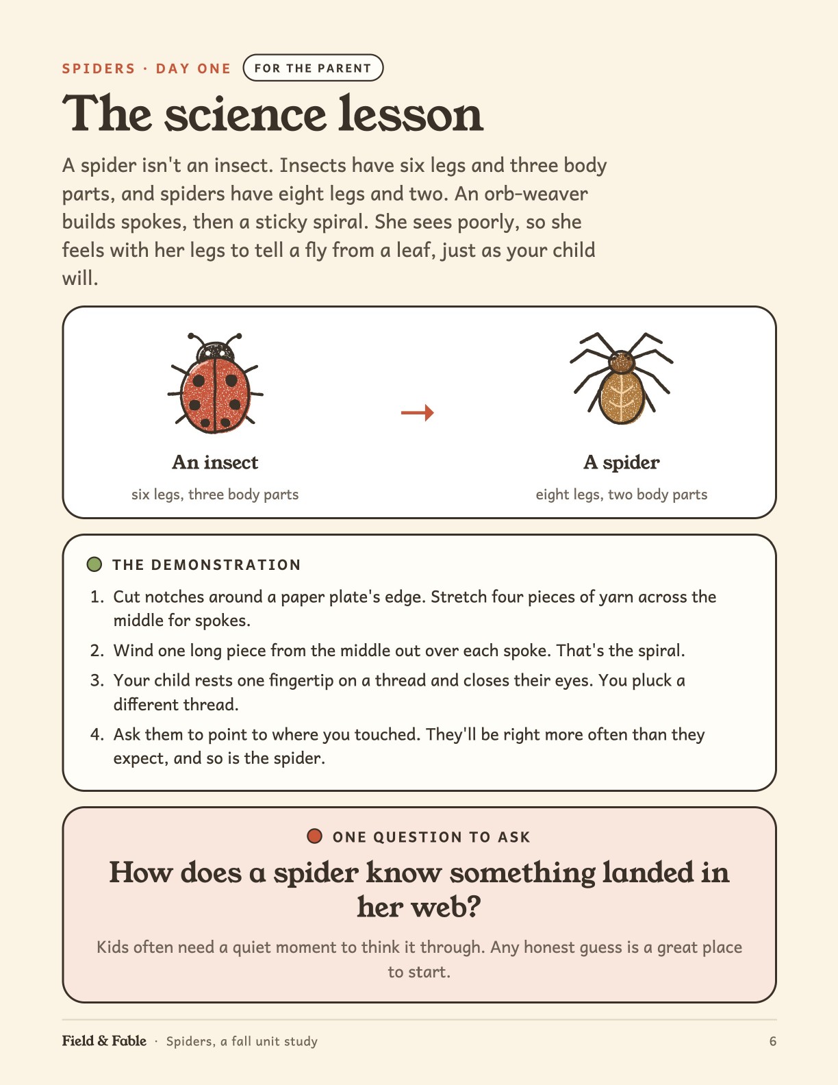 The science lesson page from the Spiders unit.