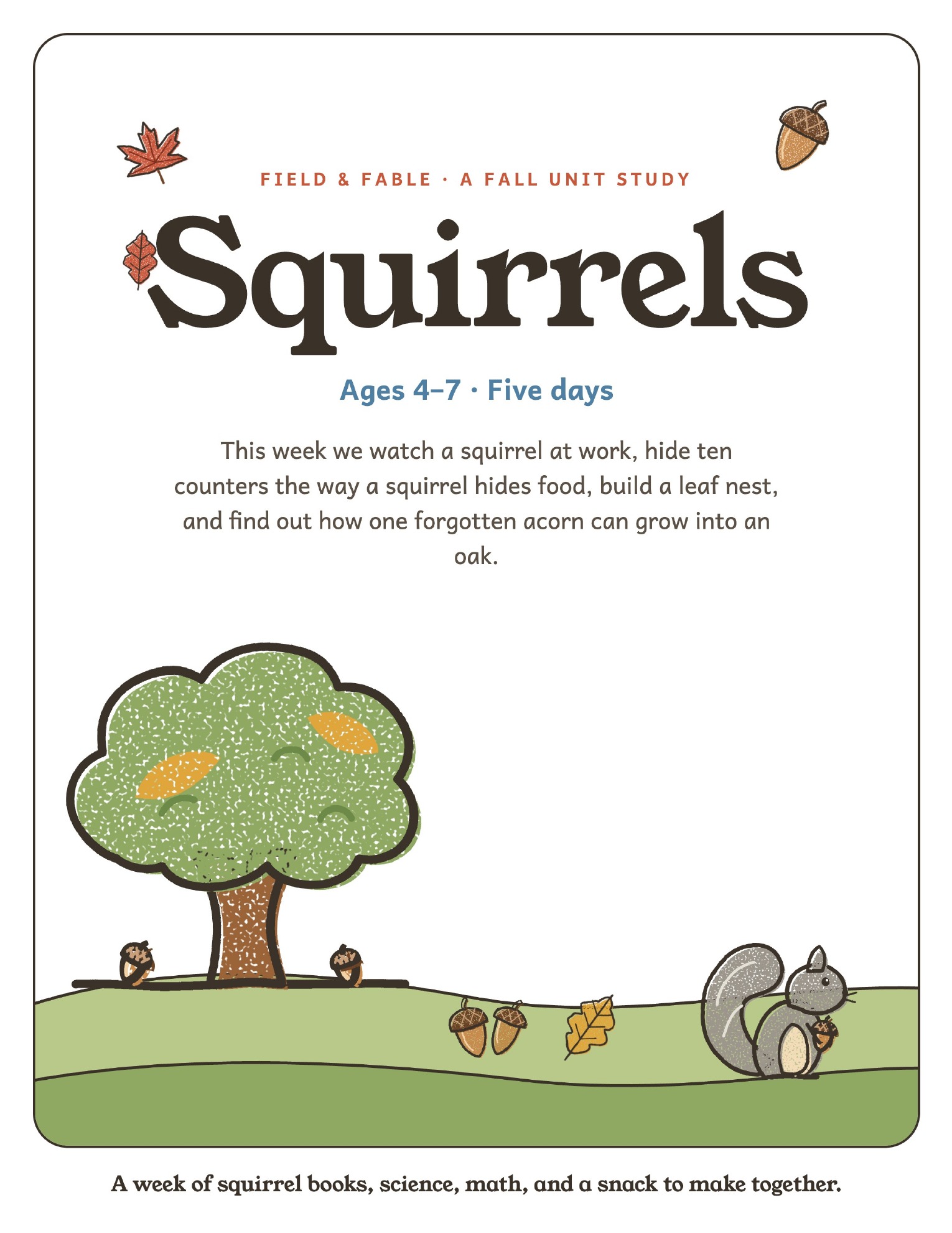 The cover of the Squirrels unit study.