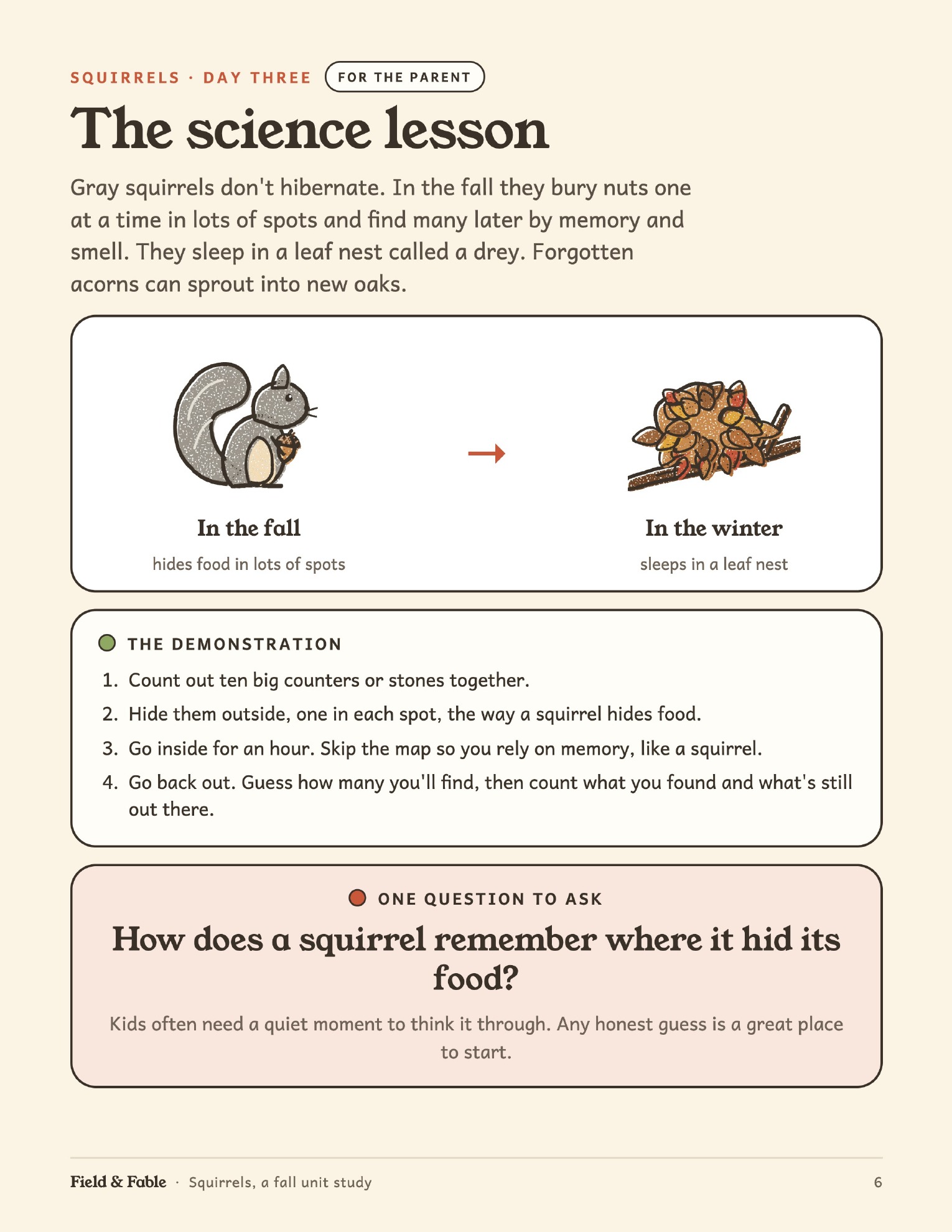 The science lesson page from the Squirrels unit.