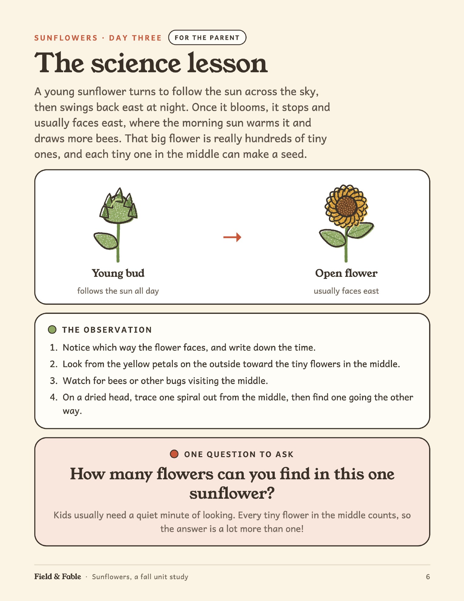 The science lesson page from the Sunflowers unit.