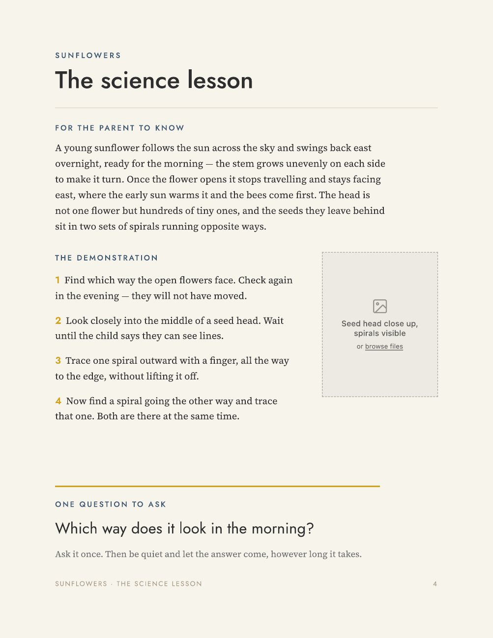 The science lesson page from the Sunflowers unit.