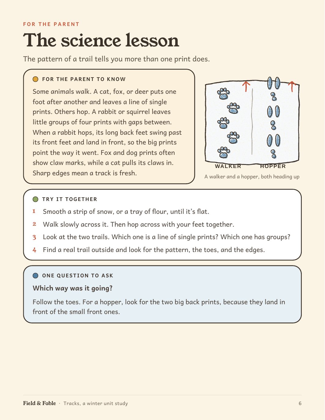 The science lesson page from the Tracks unit.